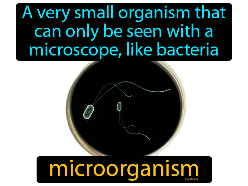 Microorganism Definition Microorganism Definition
