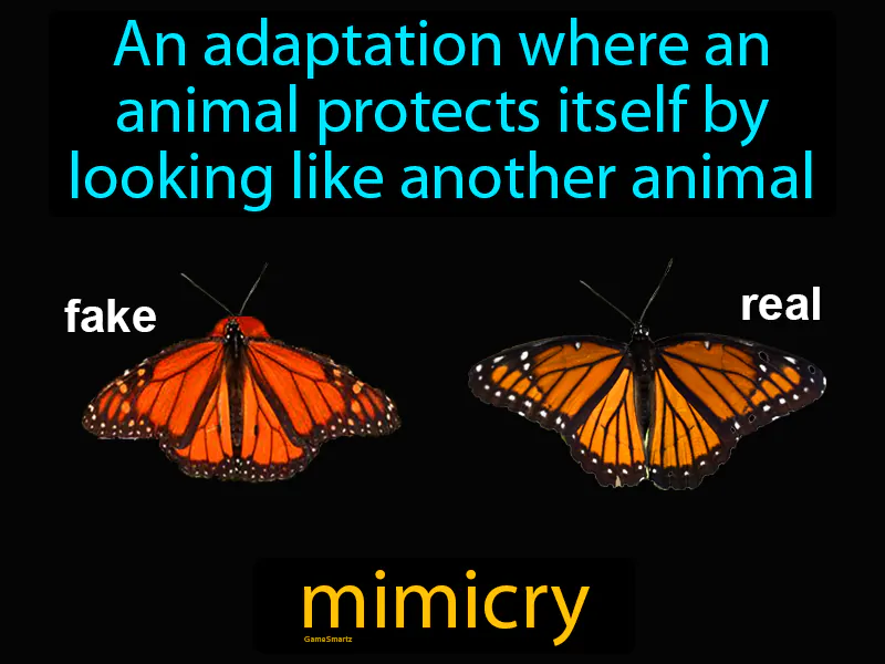 Mimicry Definition Mimicry Definition