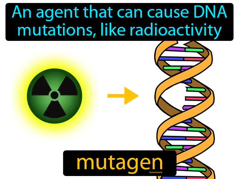 Mutagen Definition Mutagen Definition