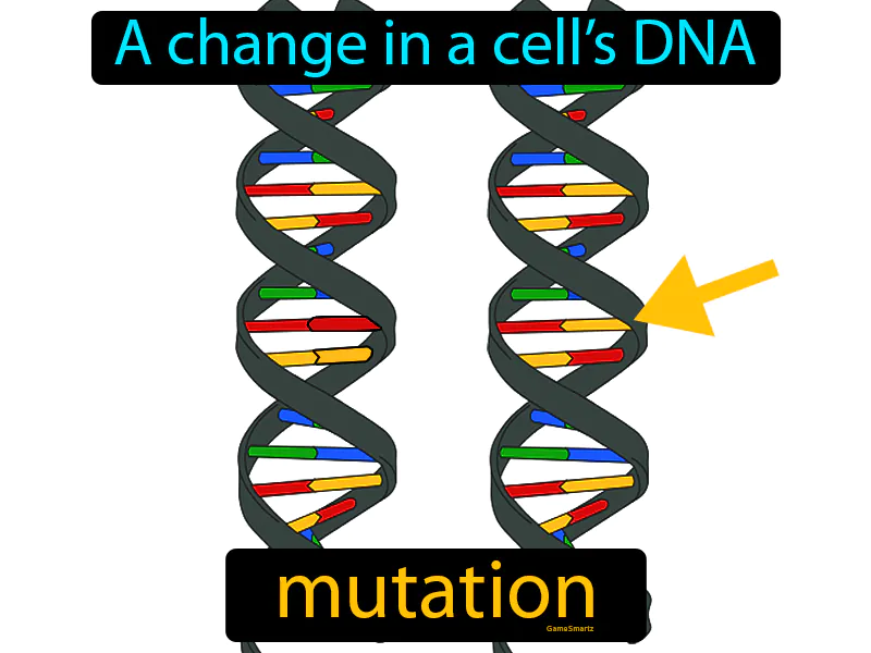 Mutation Definition Mutation Definition