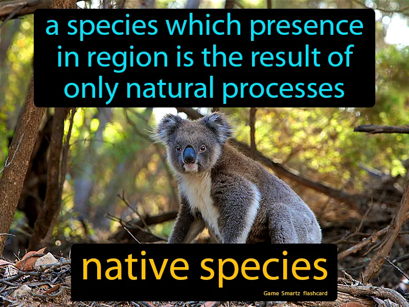 Native Species Definition Native Species Definition