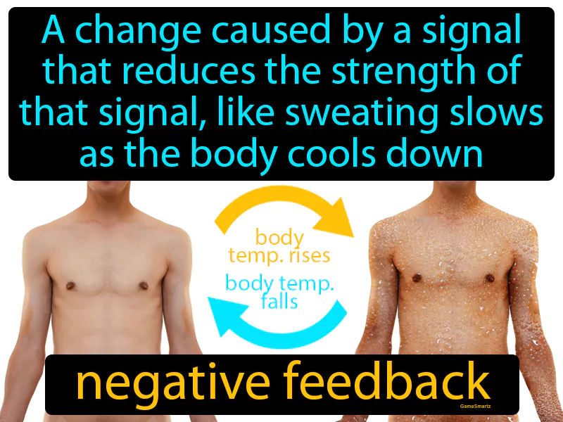 Negative Feedback Definition Negative Feedback Definition