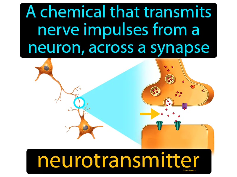 Neurotransmitter Definition Neurotransmitter Definition