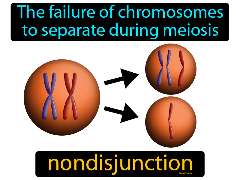 Nondisjunction Definition Nondisjunction Definition