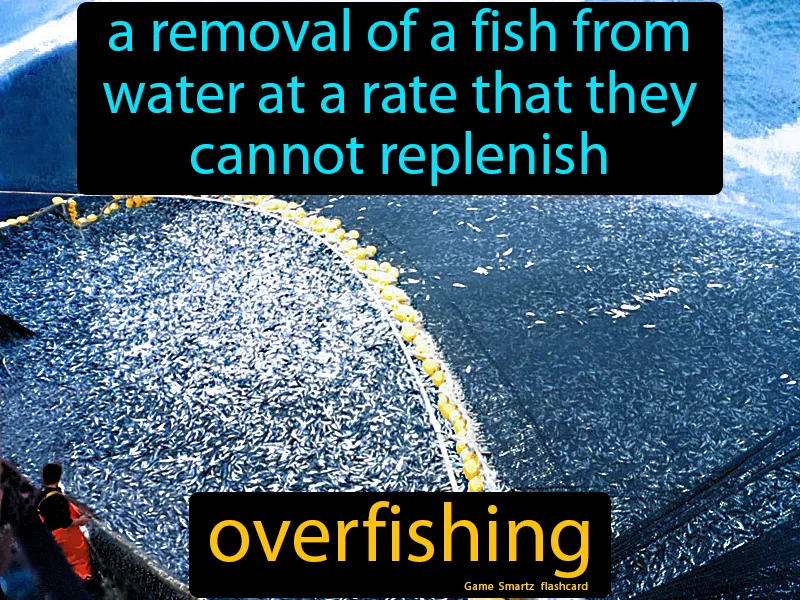 Overfishing Definition Overfishing Definition