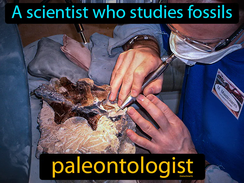 Paleontologist Definition Paleontologist Definition