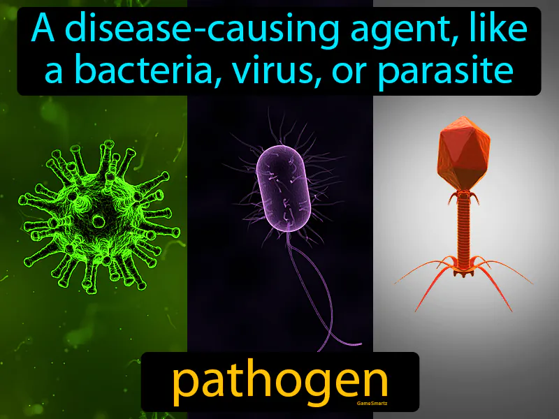 Pathogen Definition Pathogen Definition