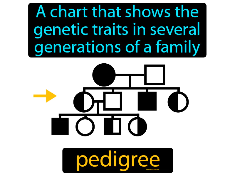 Pedigree Definition Pedigree Definition