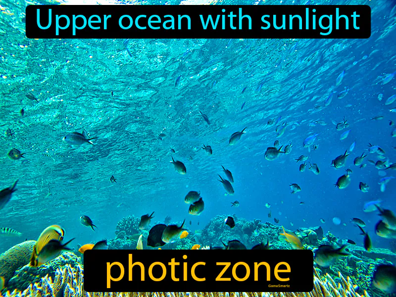 Photic Zone Definition Photic Zone Definition