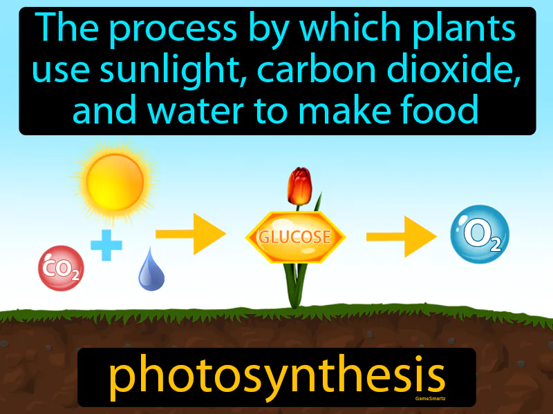 Photosynthesis Definition Photosynthesis Definition