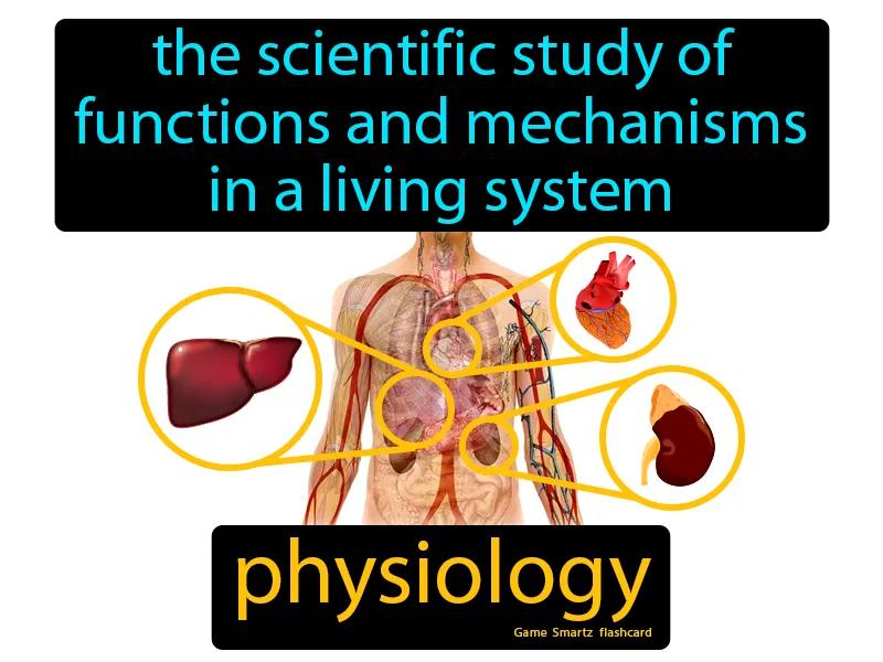 Physiology Definition Physiology Definition