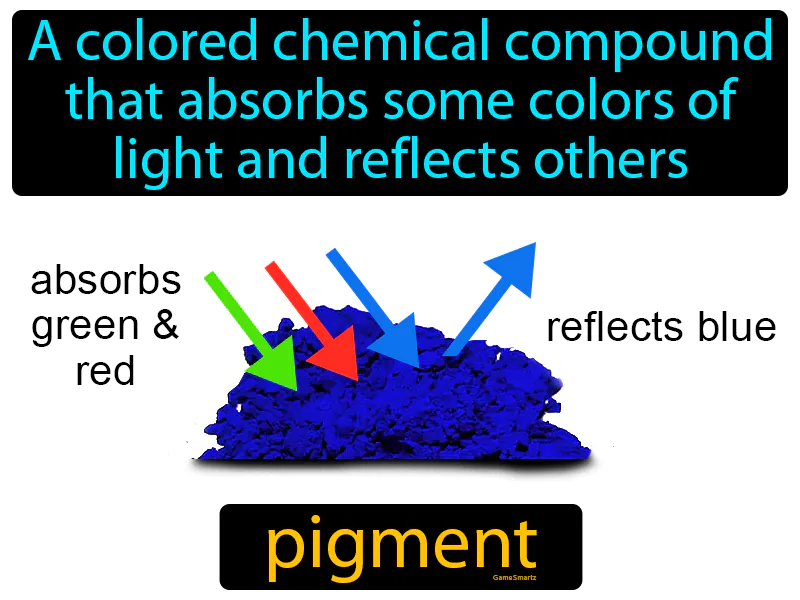 Pigment Definition Pigment Definition