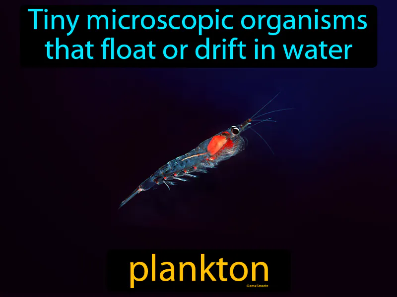 Plankton Definition Plankton Definition