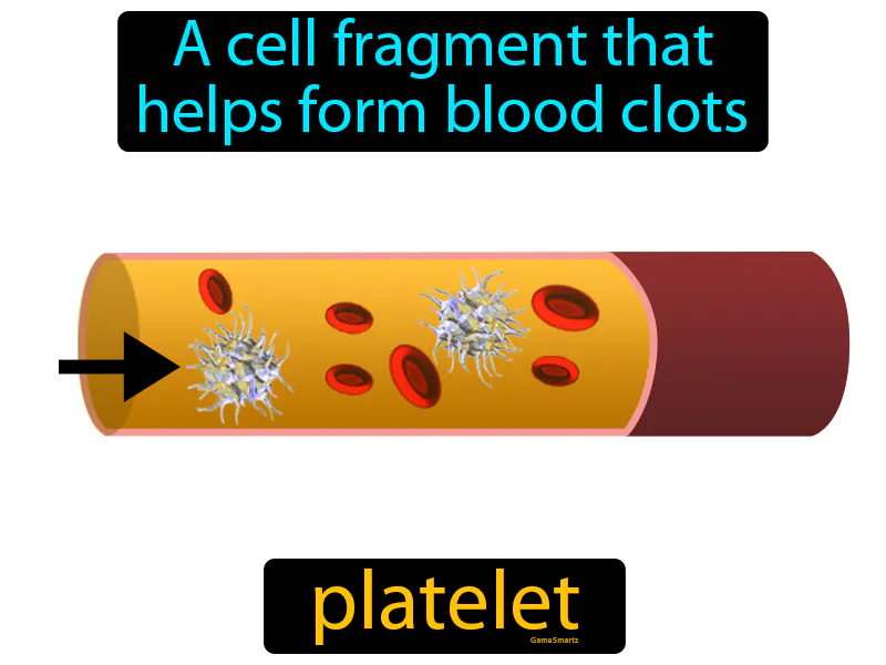 Platelet Definition Platelet Definition