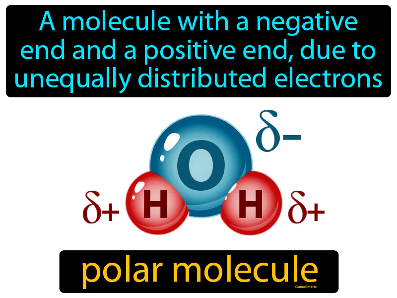 Polar Molecule Definition Polar Molecule Definition