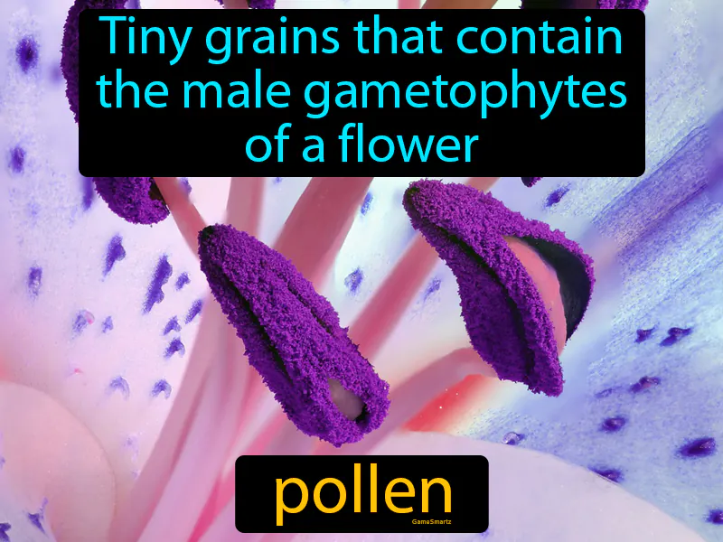 Pollen Definition Pollen Definition