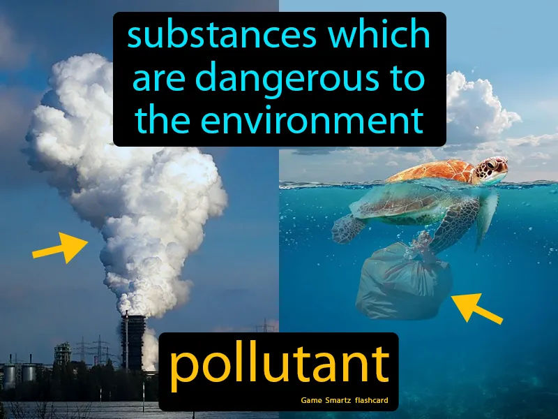 Pollutant Definition Pollutant Definition