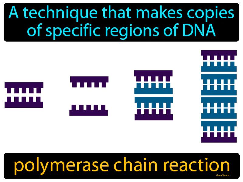 Polymerase Chain Reaction Definition Polymerase Chain Reaction Definition
