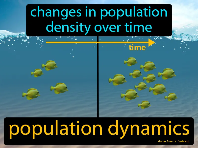 Population Dynamics Definition Population Dynamics Definition
