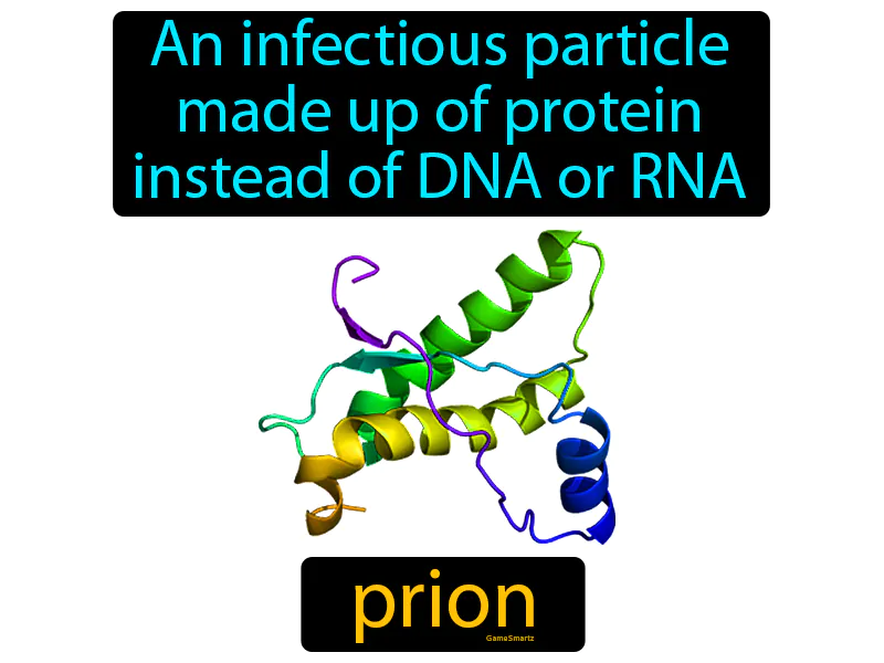 Prion Definition Prion Definition