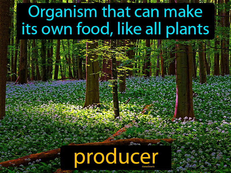 Producer Definition Producer Definition