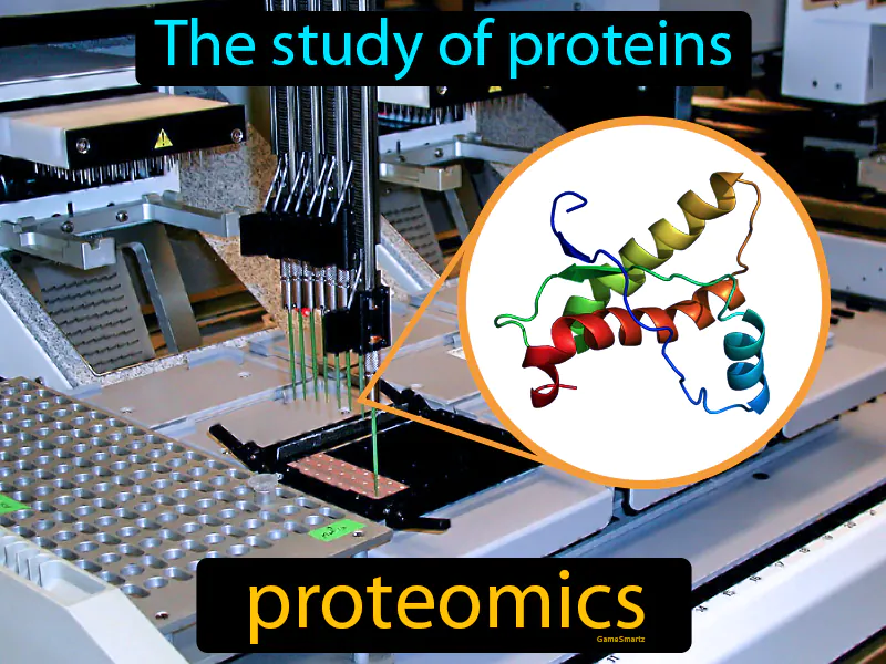 Proteomics Definition Proteomics Definition