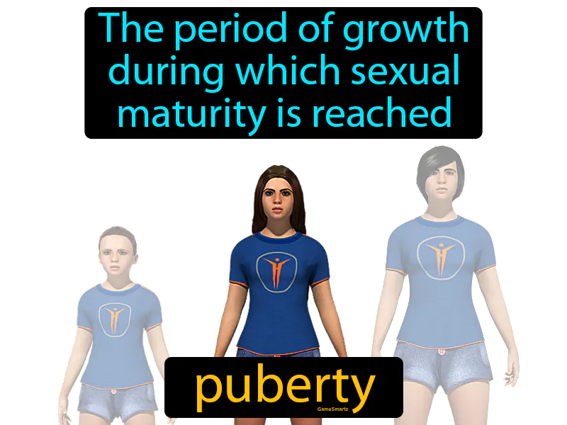 Puberty Definition Puberty Definition