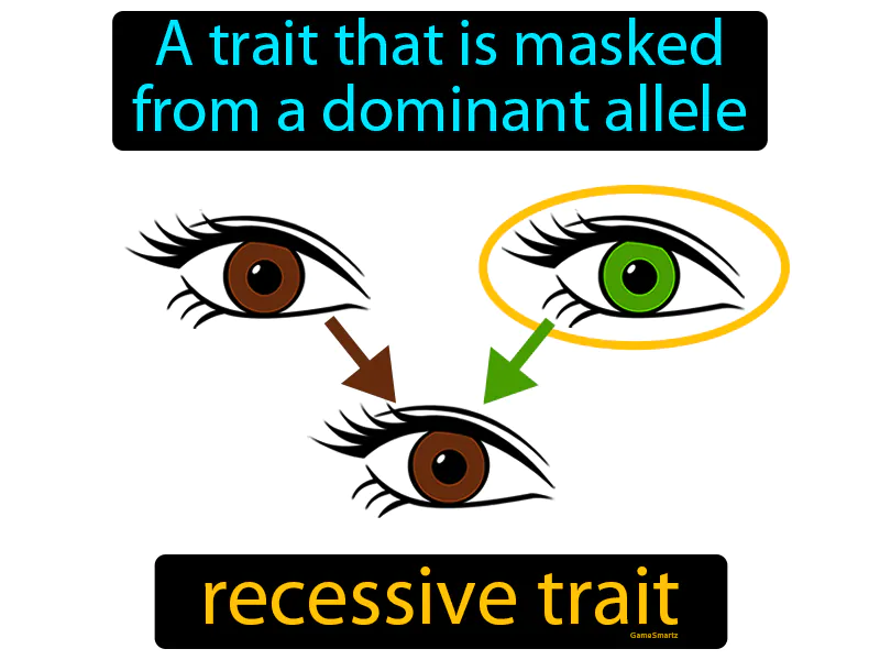 Recessive Trait Definition Recessive Trait Definition