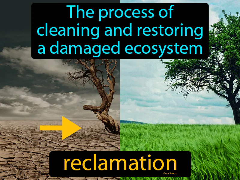 Reclamation Definition Reclamation Definition