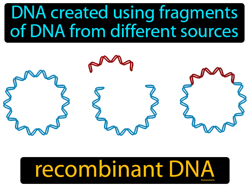 Recombinant DNA Definition
