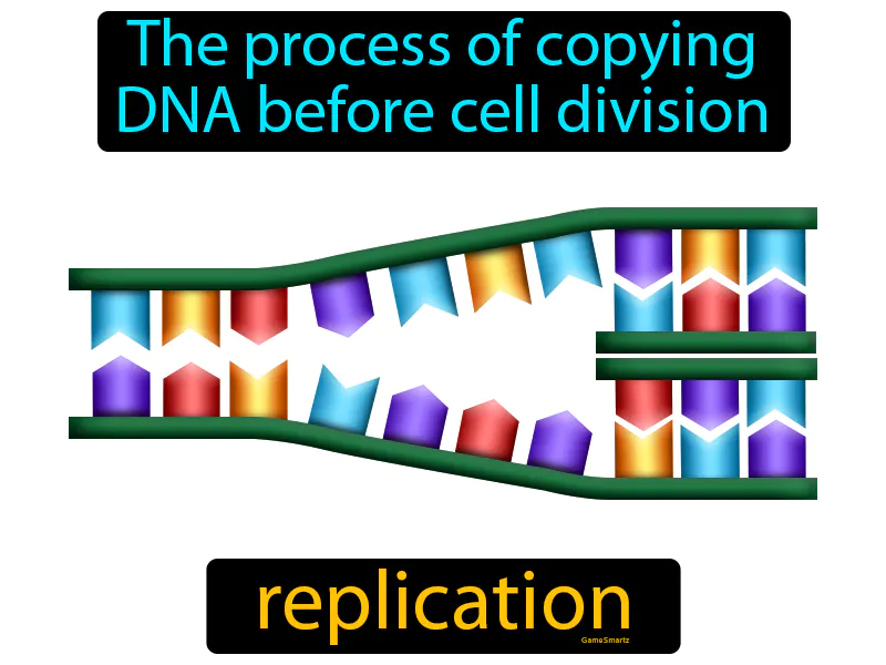 Replication Definition Replication Definition