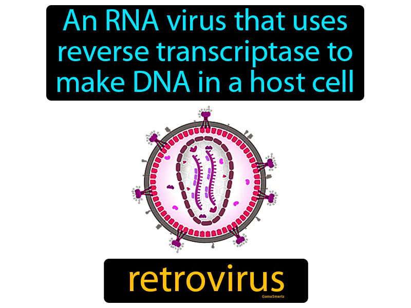 Retrovirus Definition Retrovirus Definition