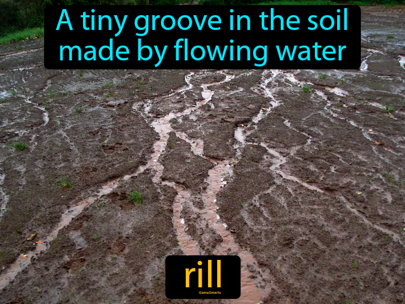 Rill Definition Rill Definition