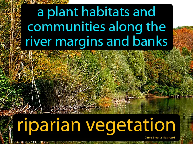 Riparian Vegetation Definition Riparian Vegetation Definition
