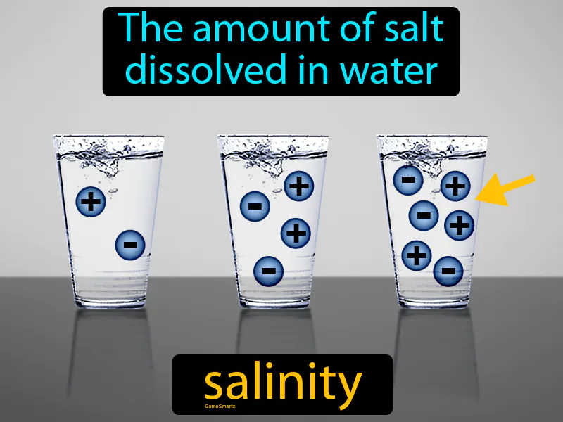 Salinity Definition Salinity Definition