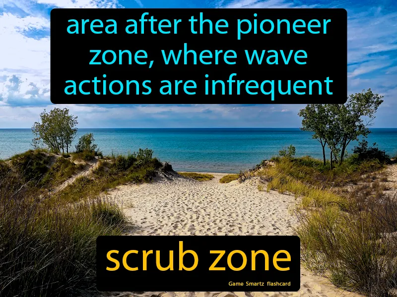 Scrub Zone Definition Scrub Zone Definition