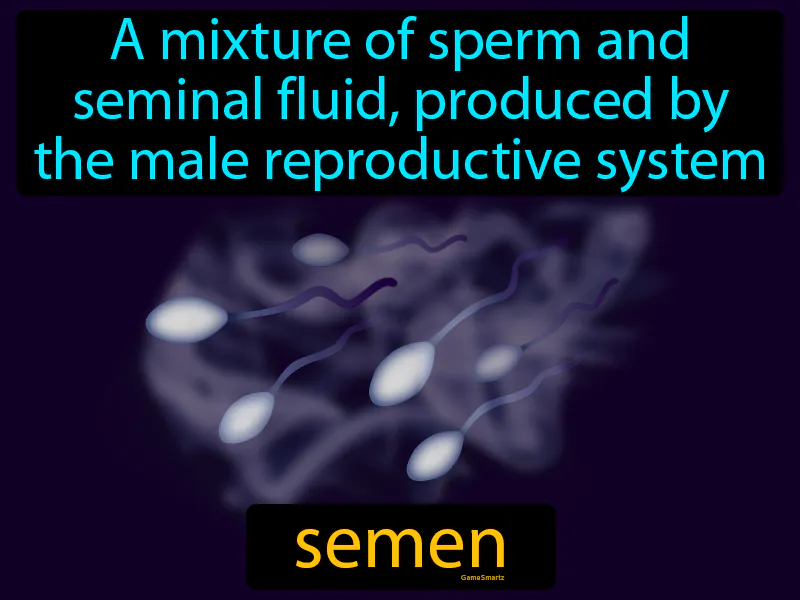 Semen Definition Semen Definition