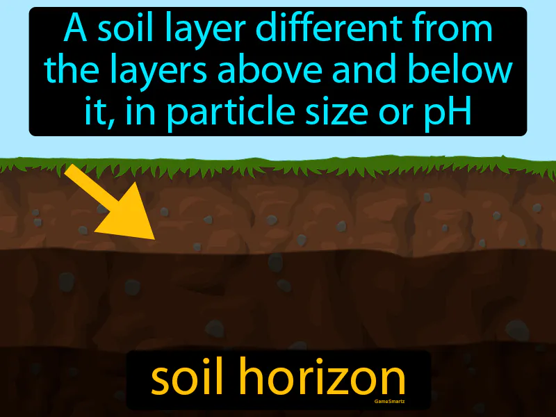 Soil Horizon Definition Soil Horizon Definition