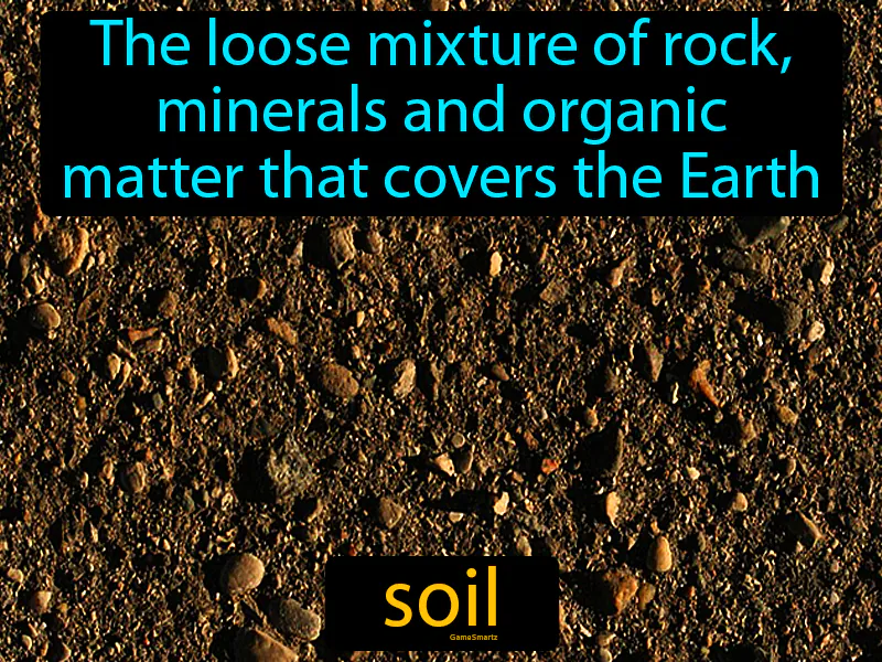 Soil Definition Soil Definition