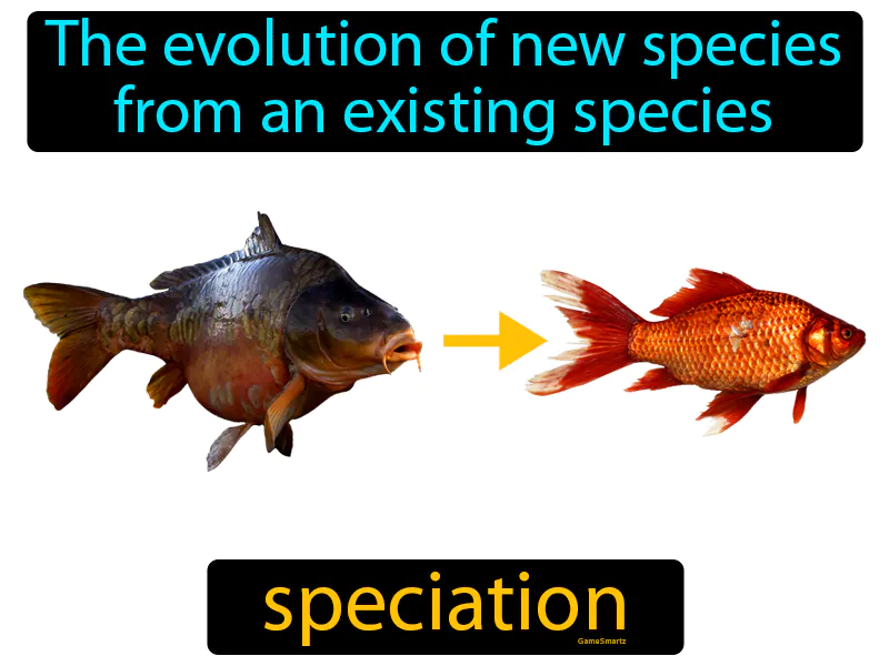 Speciation Definition Speciation Definition