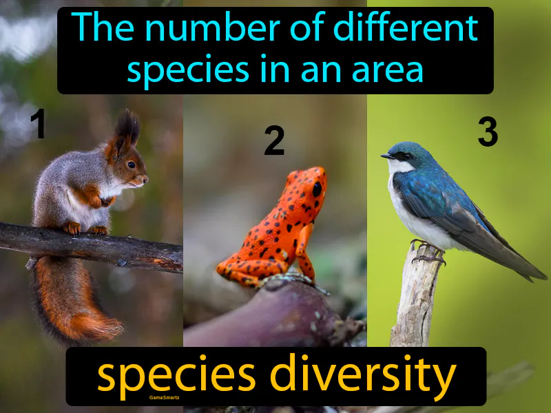 Species Diversity Definition Species Diversity Definition