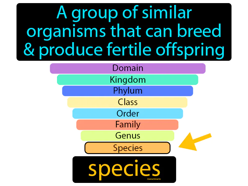 Species Definition Species Definition