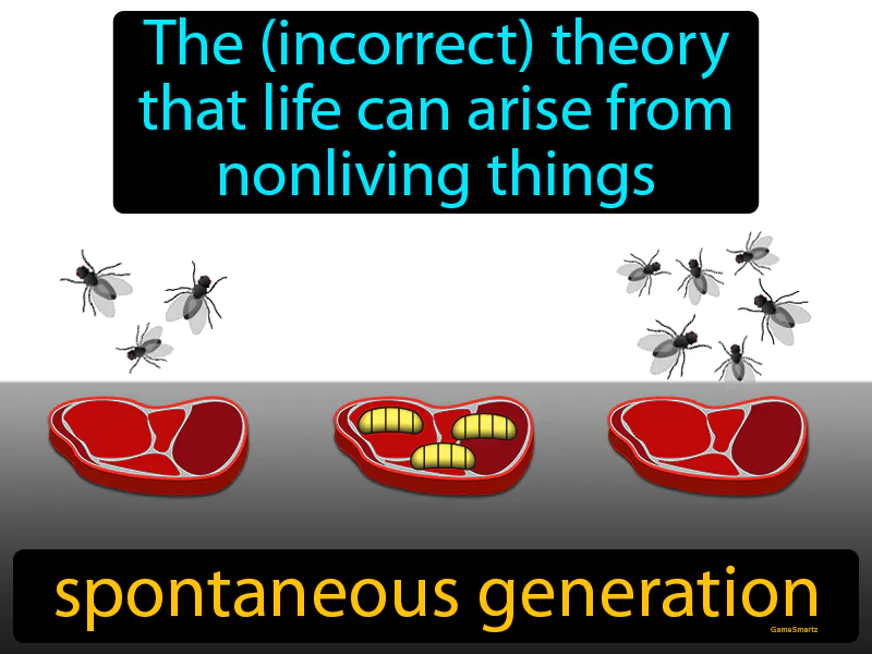 Spontaneous Generation Definition Spontaneous Generation Definition