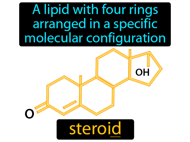 Steroid Definition Steroid Definition