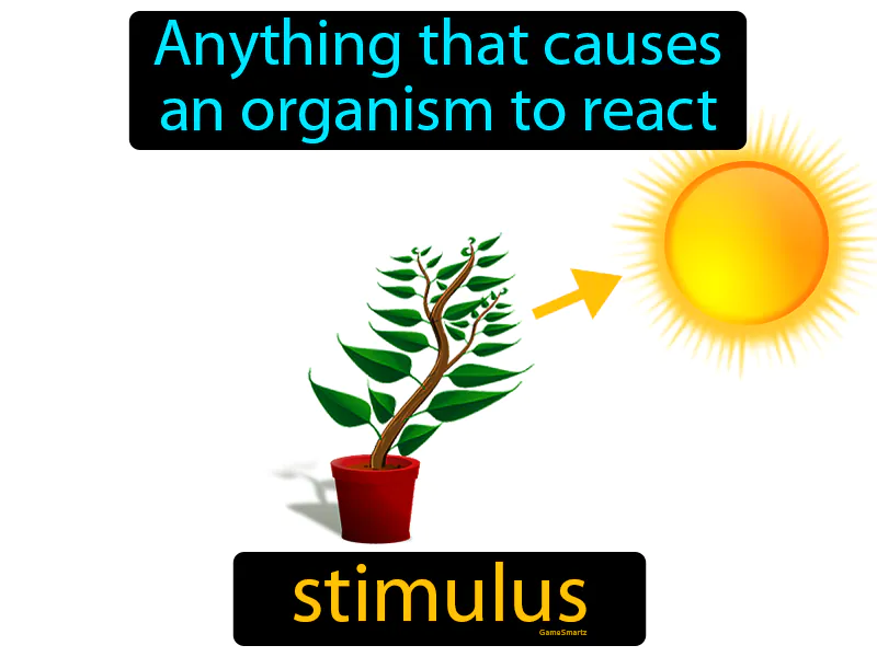Stimulus Definition Stimulus Definition