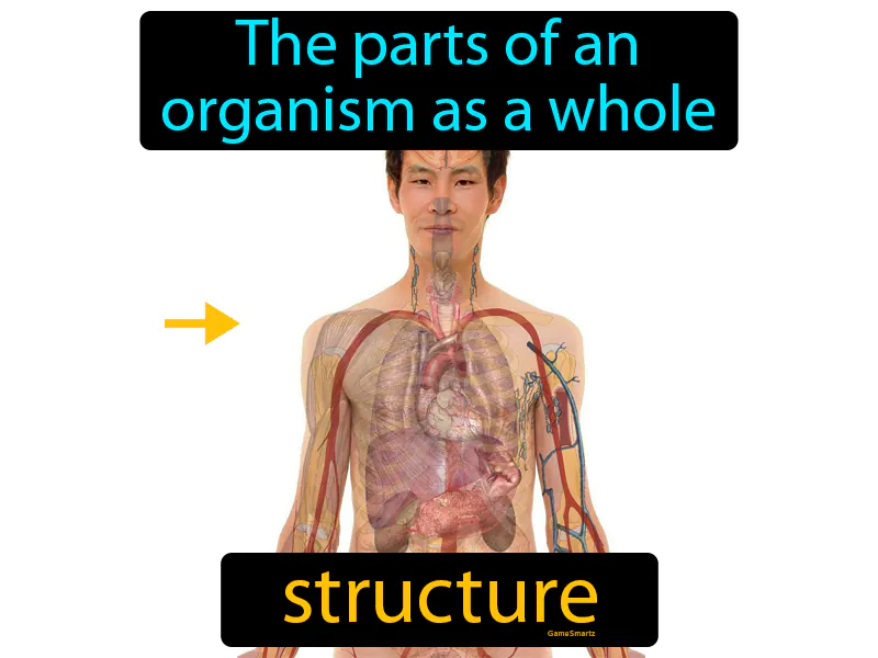 Structure Definition Structure Definition