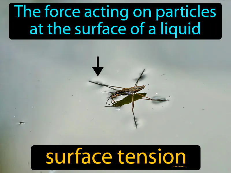 Surface Tension Definition Surface Tension Definition