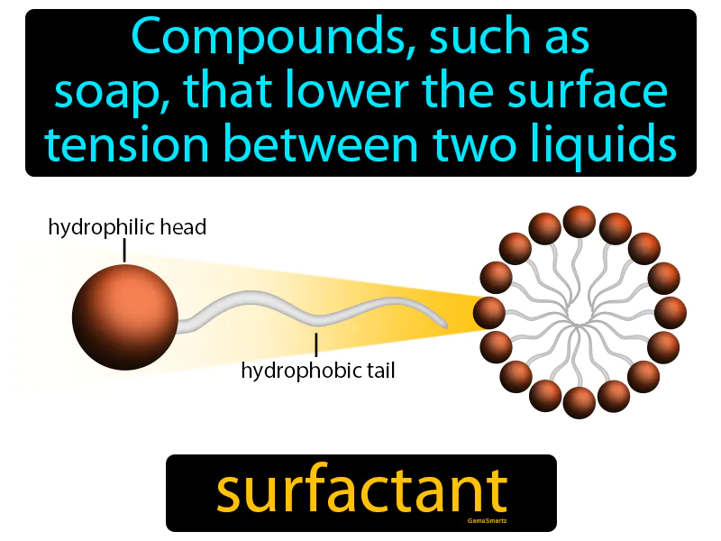 Surfactant Definition Surfactant Definition