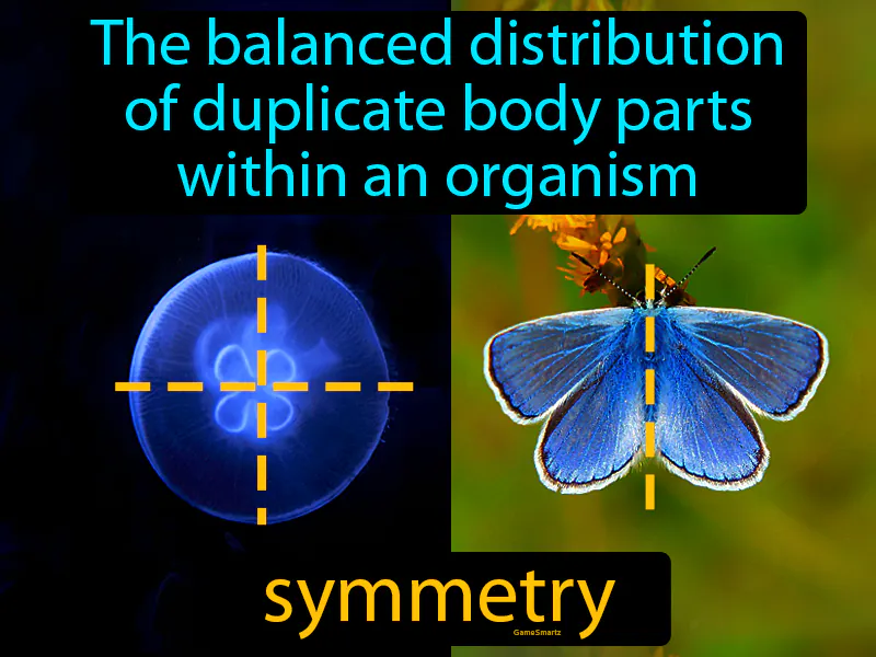 Symmetry Definition Symmetry Definition