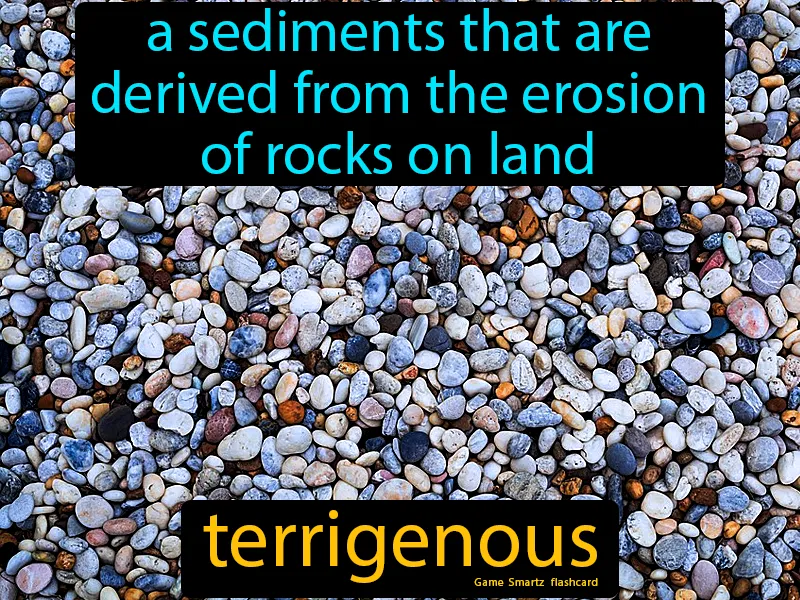 Terrigenous Definition Terrigenous Definition